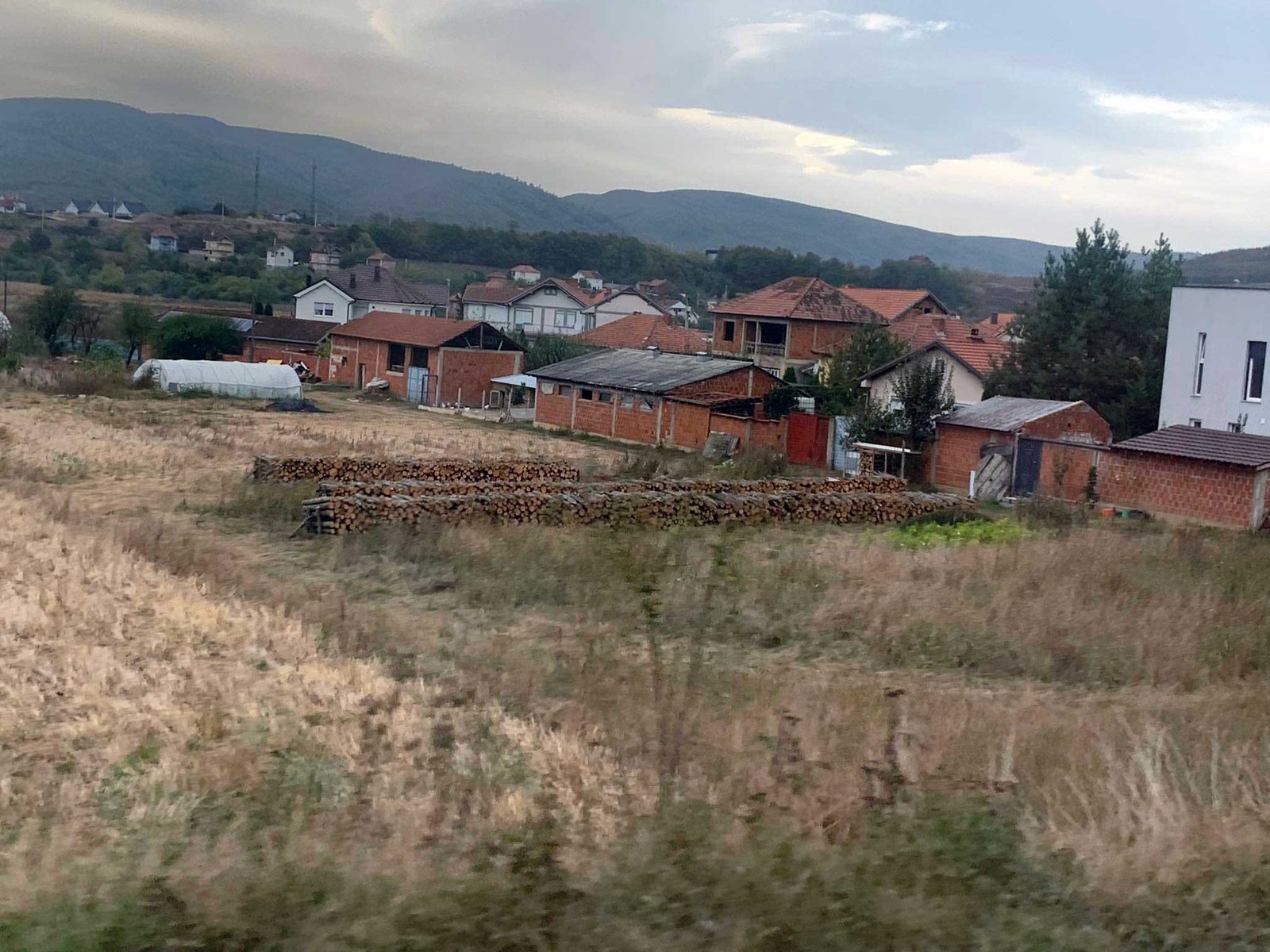 Shitja e druve të prera në një fshat të Podujevës