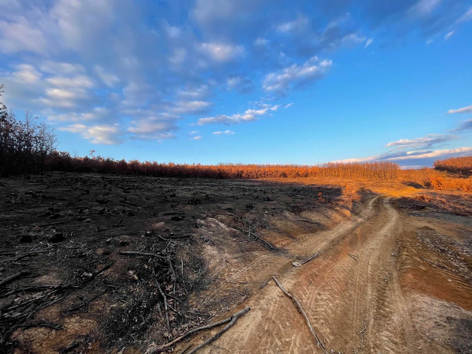 Një pjesë një mali të djegur në vendin e quajtur Zhitovc, i cili gjendët mes fshatrave Kllodernicës, Vitakut dhe Çubrelit.