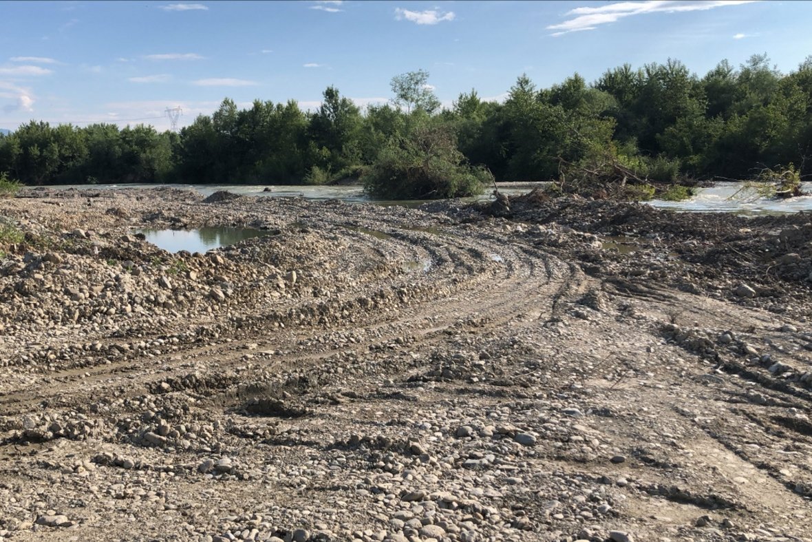 Degradimi i Drinit të Bardhë