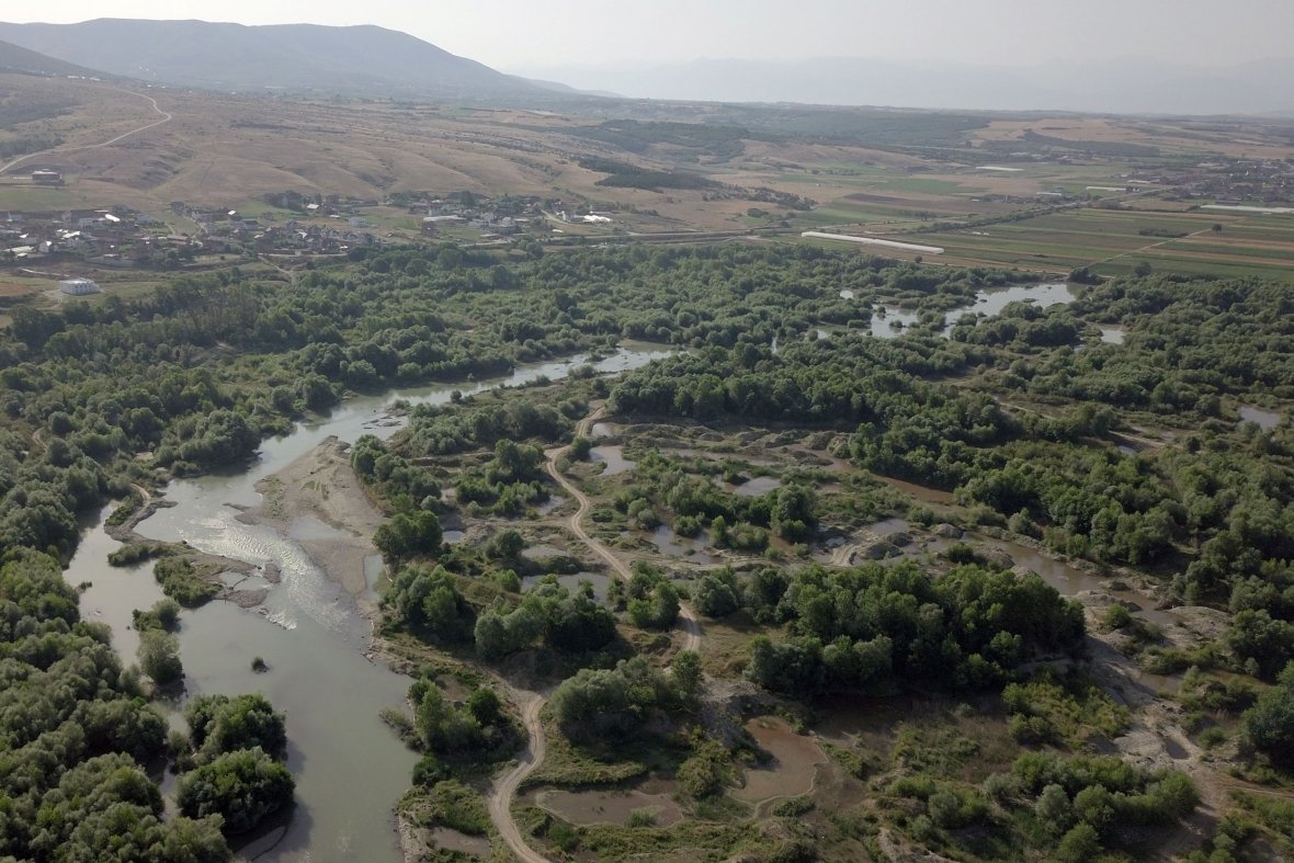Degradimi i Drinit të Bardhë