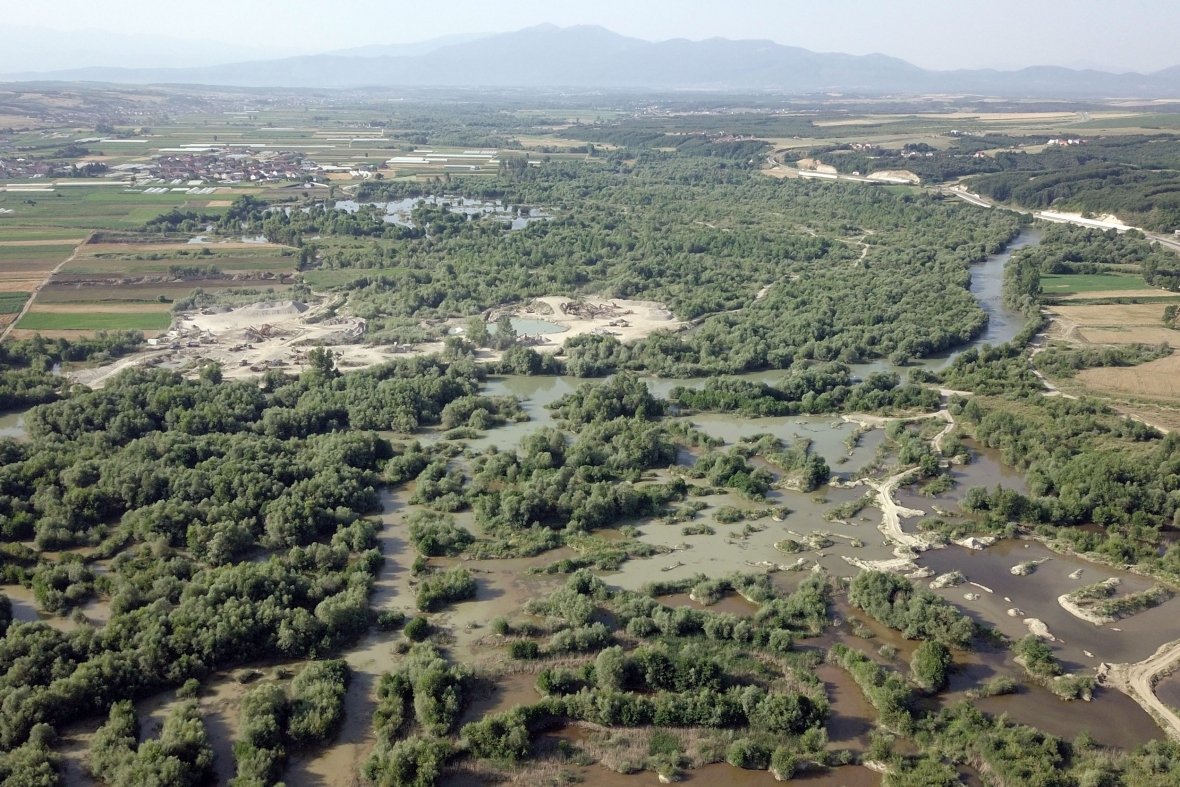 Degradimi i Drinit të Bardhë