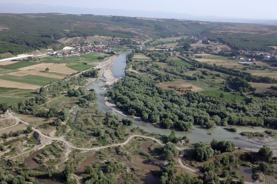 Degradimi i Drinit të Bardhë