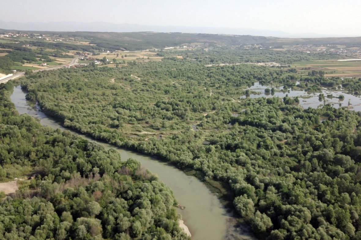 Degradimi i Drinit të Bardhë