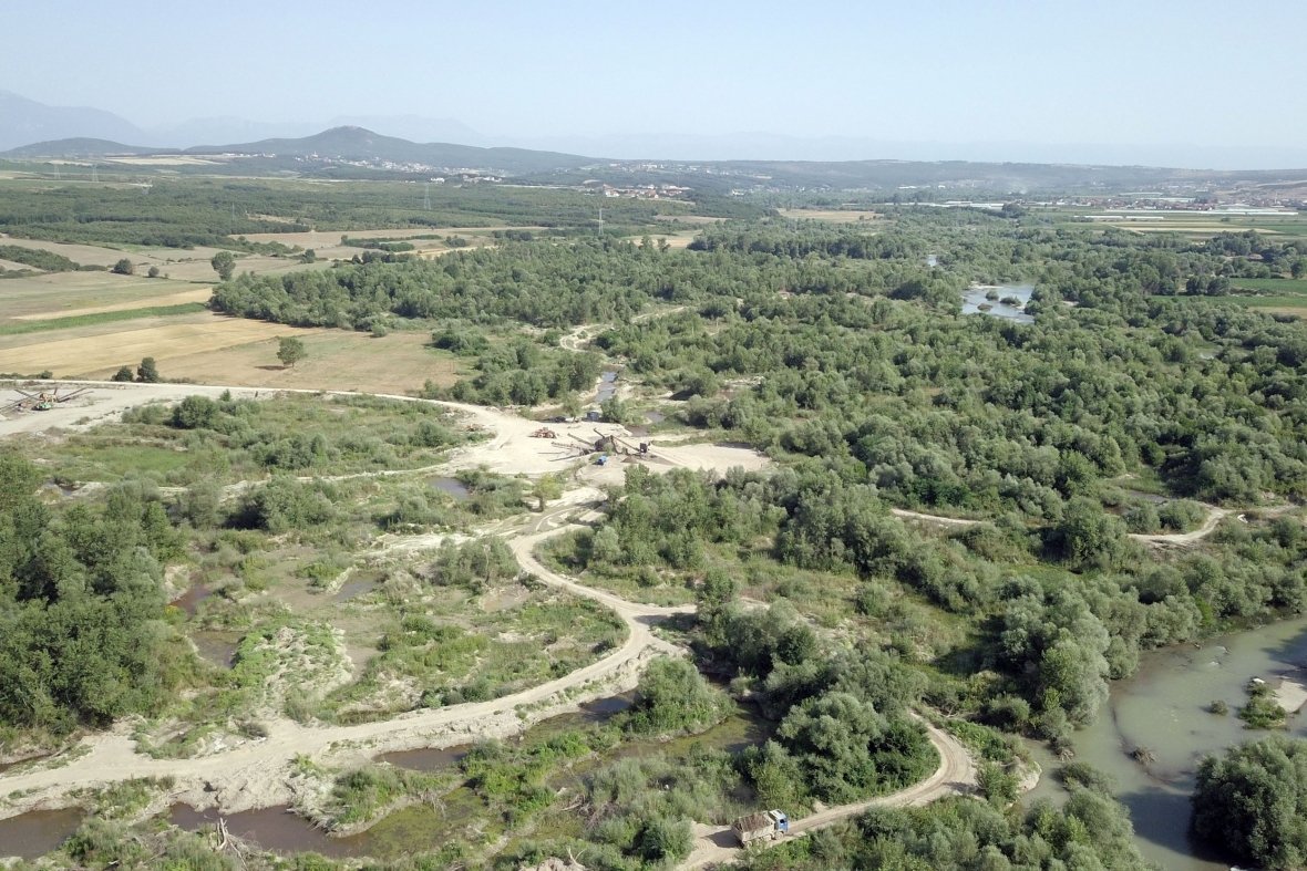 Degradimi i Drinit të Bardhë