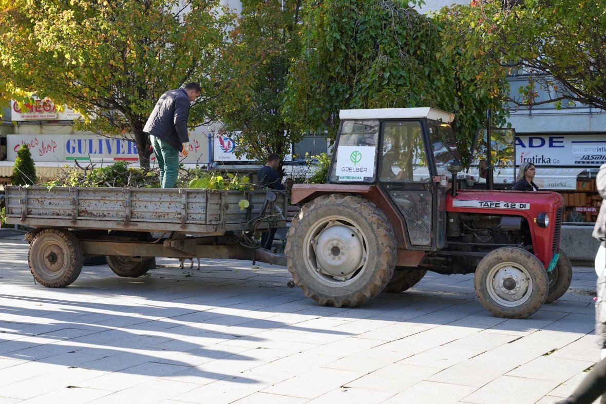 Kaosi i përbashkët