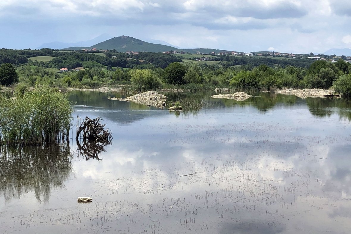 Degradimi i Drinit të Bardhë