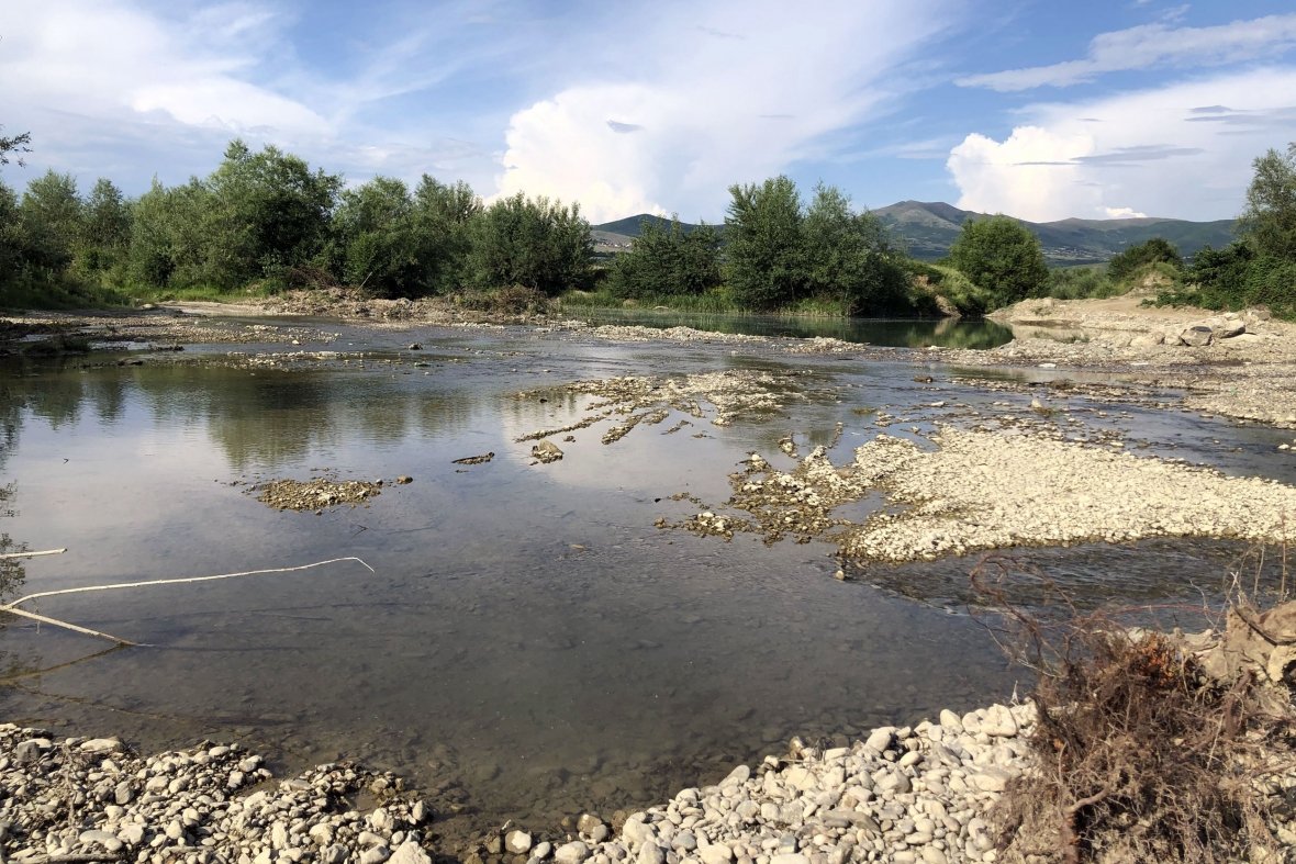 Degradimi i Drinit të Bardhë
