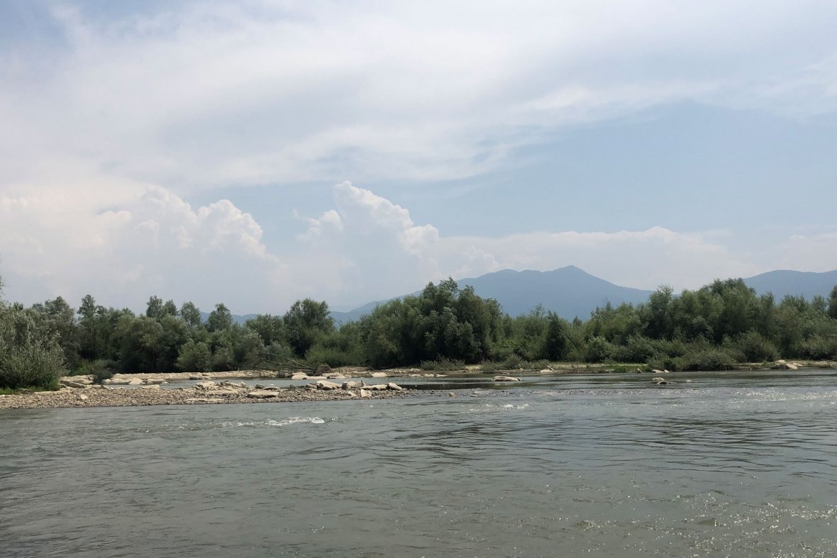 Degradimi i Drinit të Bardhë