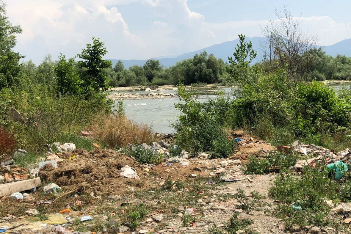 Degradimi i Drinit të Bardhë