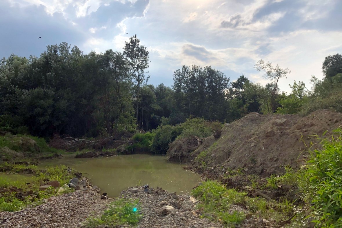 Degradimi i Drinit të Bardhë