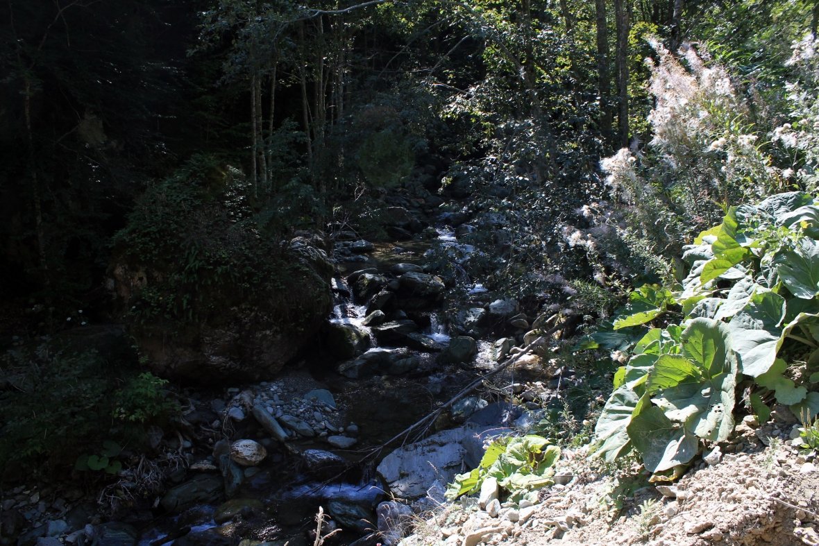 The consequences of hydropower plants 