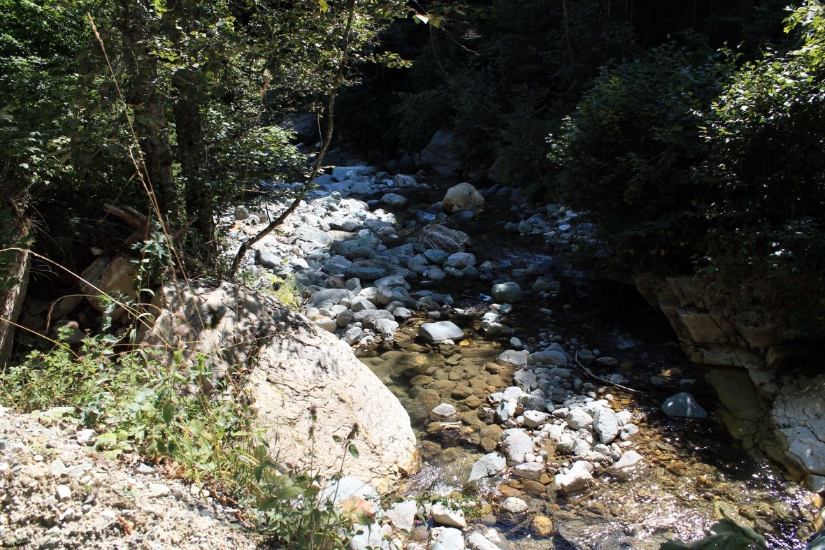 The consequences of hydropower plants 