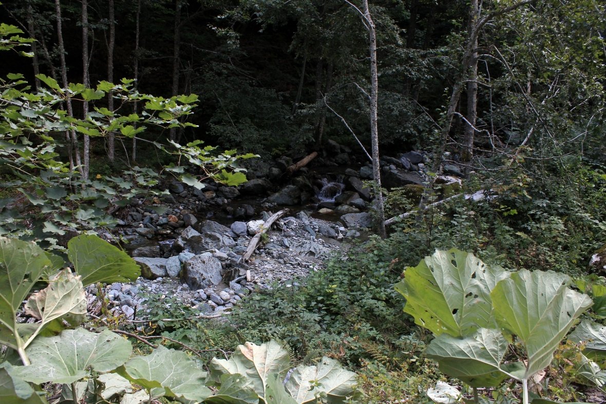 The consequences of hydropower plants