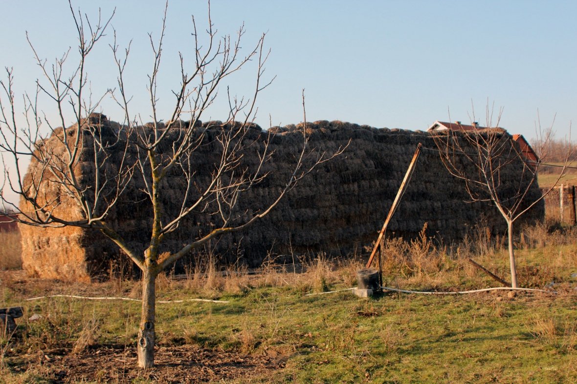 Padrejtësitë në ndarjen e granteve