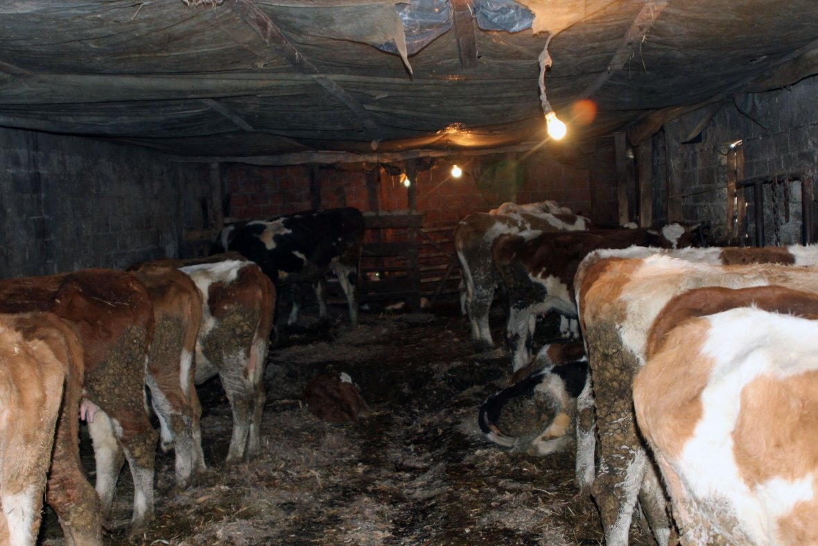 Padrejtësitë në ndarjen e granteve