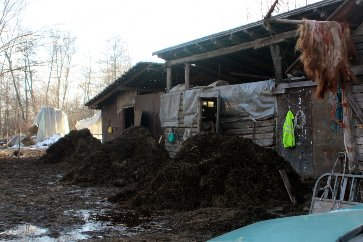 Padrejtësitë në ndarjen e granteve
