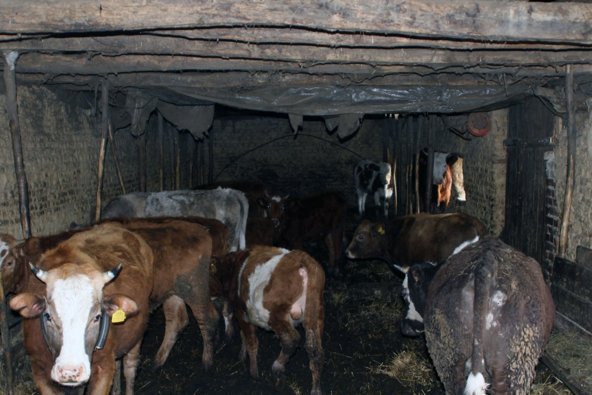 Padrejtësitë në ndarjen e granteve