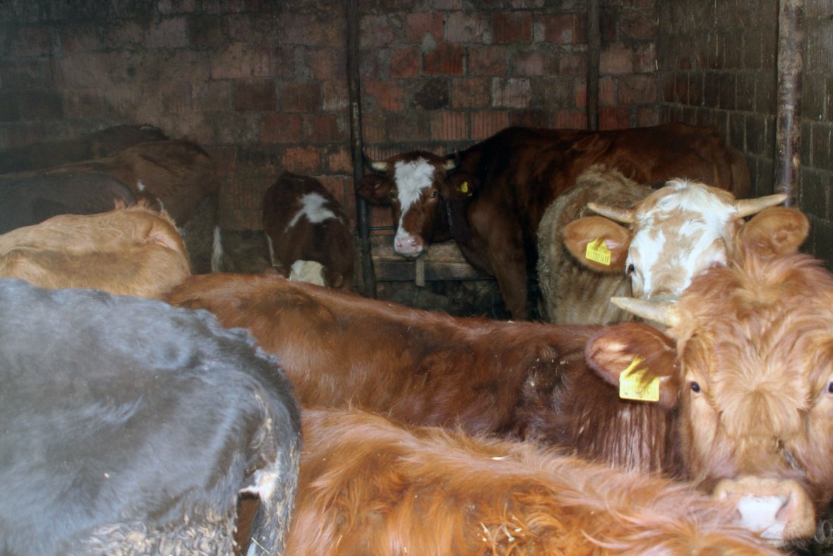 Padrejtësitë në ndarjen e granteve